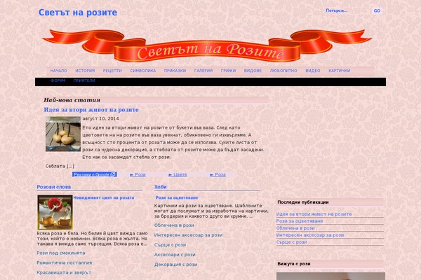 WordPress website example screenshot