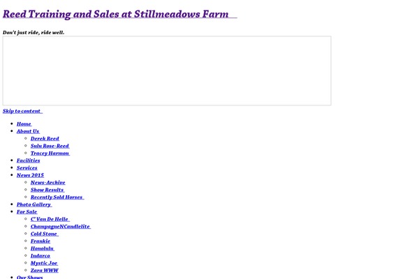 WordPress website example screenshot