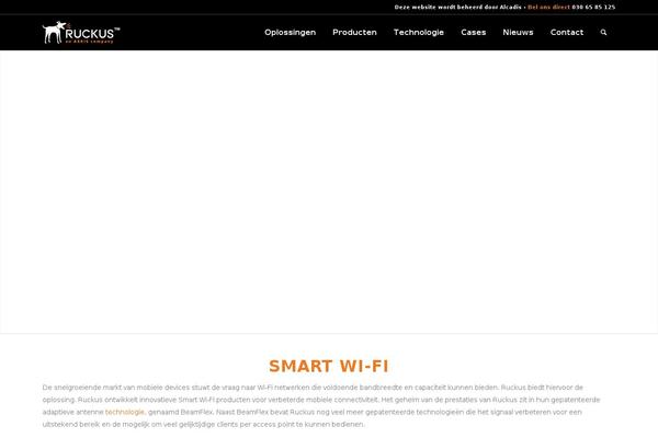 Enfold theme site design template sample