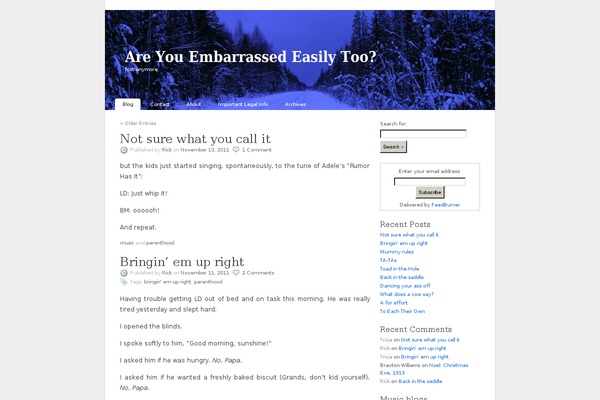 WordPress website example screenshot