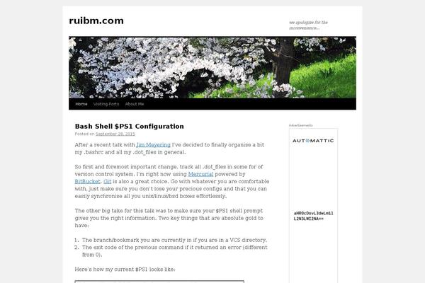 Site using SyntaxHighlighter Evolved plugin