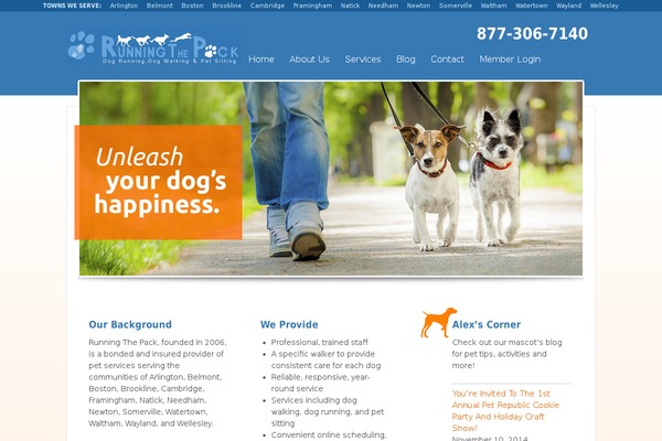 Responsive theme site design template sample
