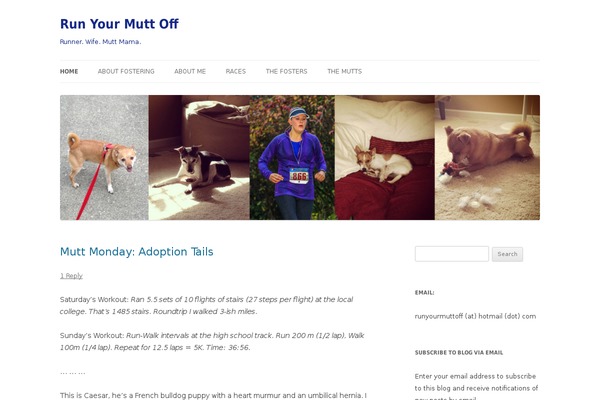 Site using CommentLuv plugin