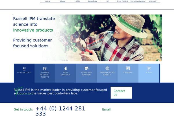 WordPress website example screenshot