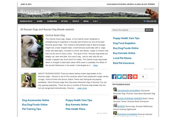 WordPress website example screenshot