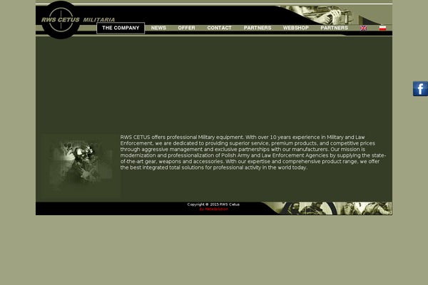 rws theme websites examples