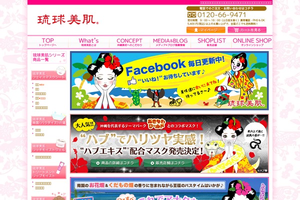 ryukyubihada.jp site used Debeso
