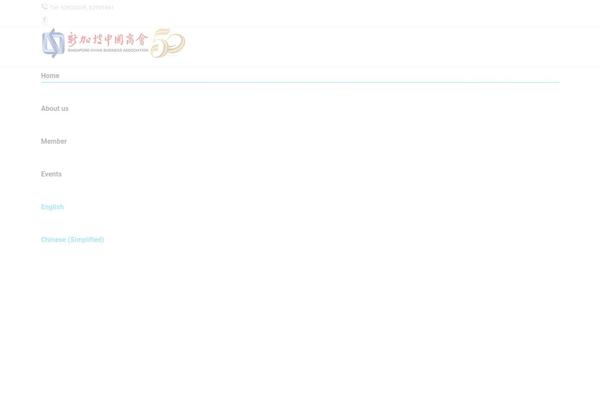 The7 theme site design template sample