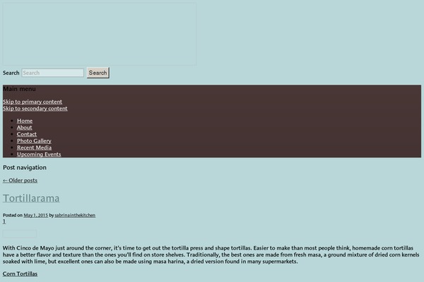WordPress website example screenshot