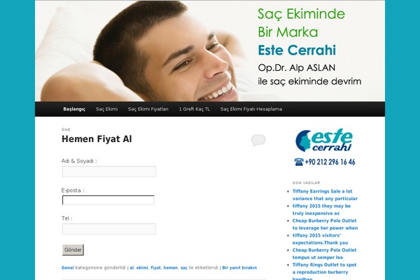 Twenty Eleven theme site design template sample