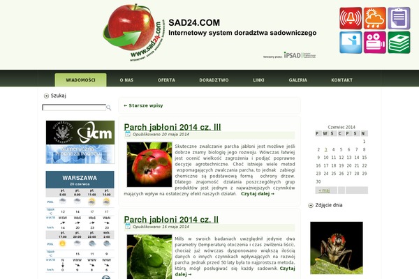 sad24.com site used Sad24_05_green