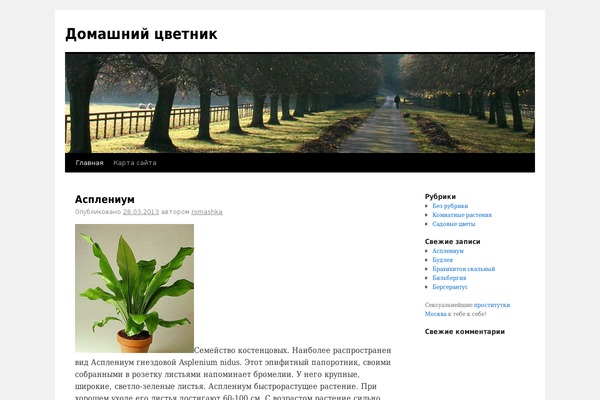Twenty Ten theme site design template sample