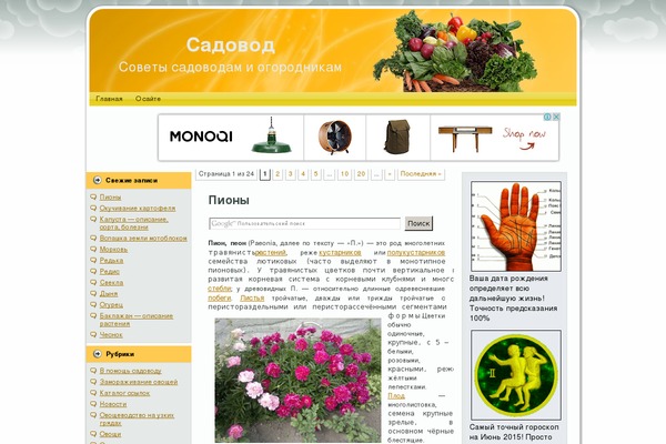 sadovod.biz site used Blogpost2