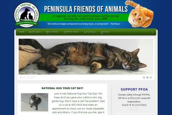 Alyeska theme site design template sample