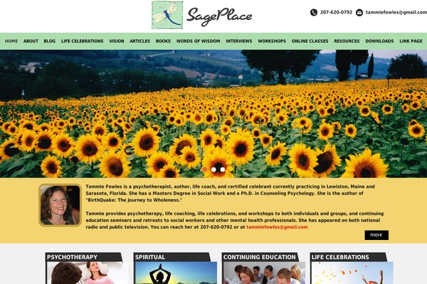 Place theme site design template sample