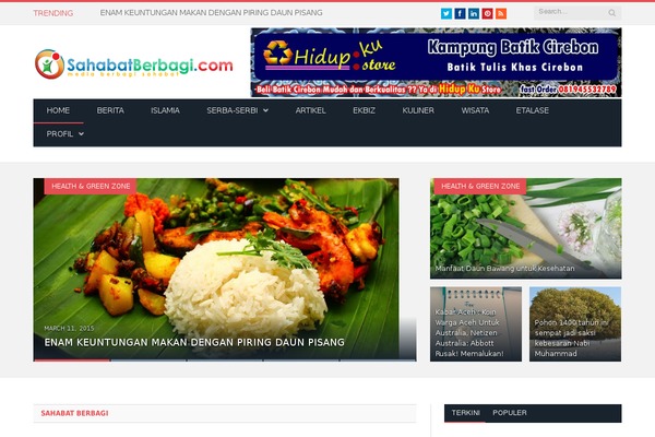 SmartMag theme site design template sample