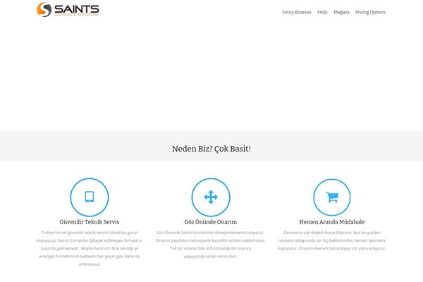 PRO Business theme site design template sample