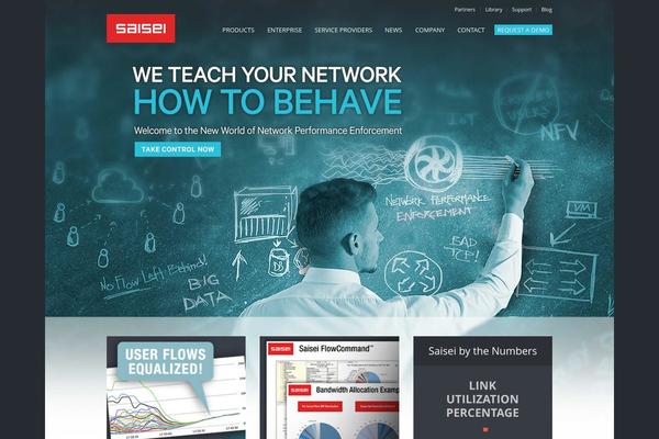 saisei theme websites examples