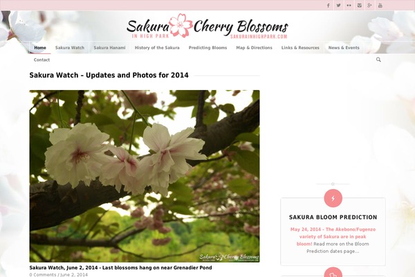 Enfold theme site design template sample