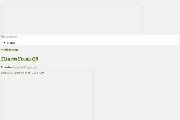 WordPress website example screenshot
