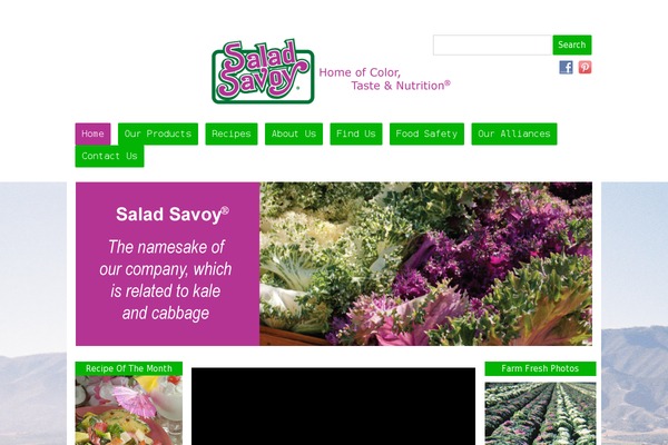 saladsavoy.com site used Air