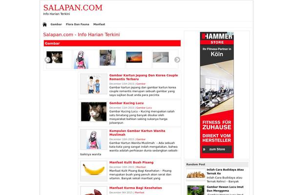 salapan.com site used Newswp