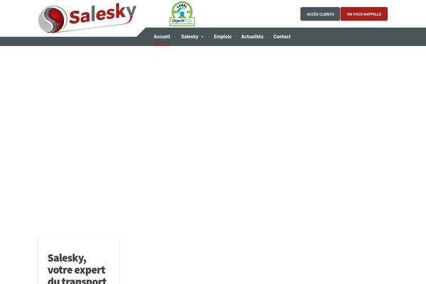 salesky.fr site used Salesky