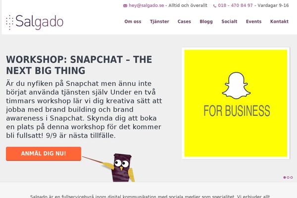 salgado.se site used Ww-salgado