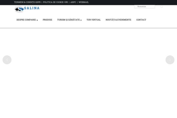 Builderry website example screenshot