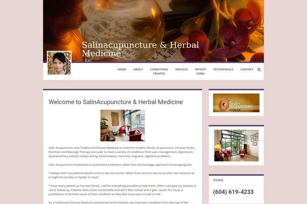 salinacupuncture.com site used Levii