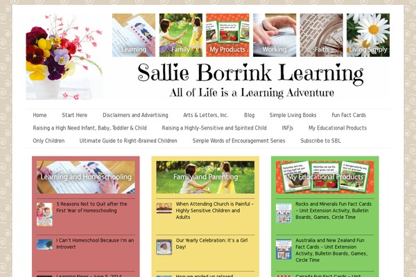 sallieborrink.com site used Mai-delight