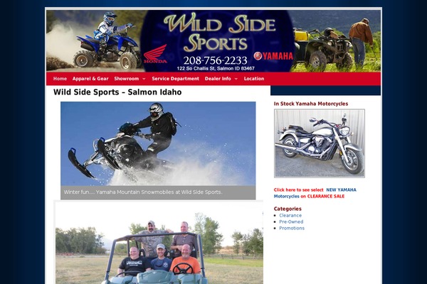 WordPress website example screenshot