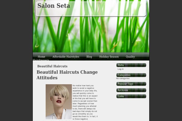 salon-seta.com site used Vista-Like