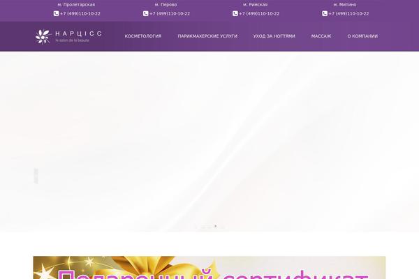 WordPress website example screenshot