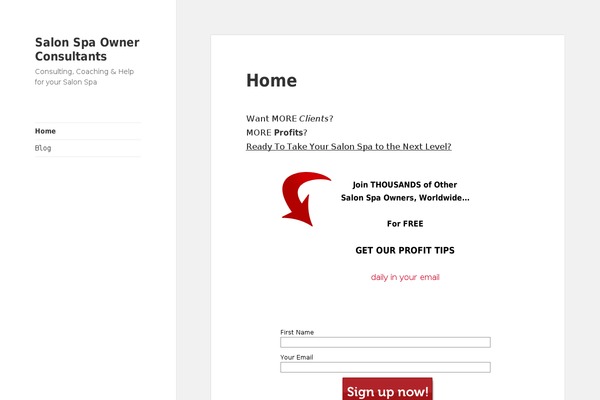 Twenty Fifteen theme site design template sample
