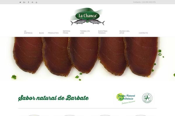 Bridge theme site design template sample