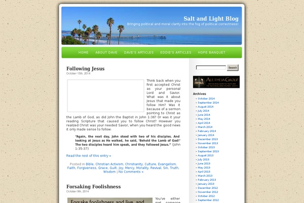 saltandlightblog.com site used The_beach_1.22