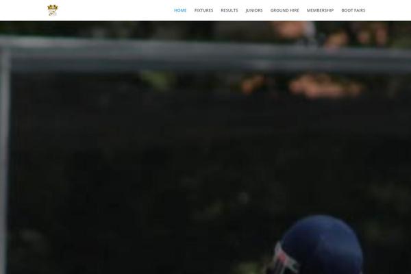 Divi theme site design template sample