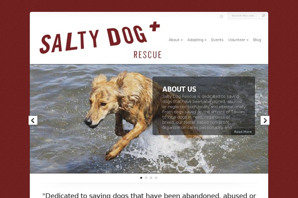 Chameleon theme site design template sample