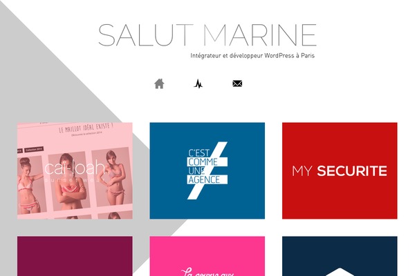 salutmarine theme websites examples