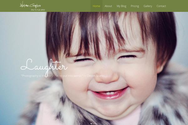 Bridge theme site design template sample