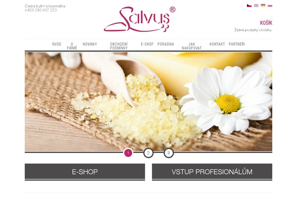 salvuspraha.cz site used Salvus