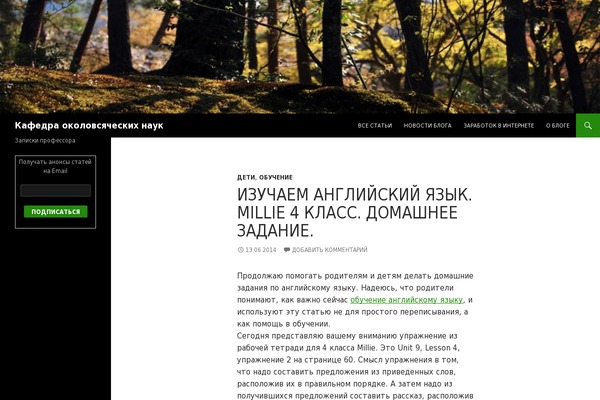 Site using Wp-yandex-metrika plugin