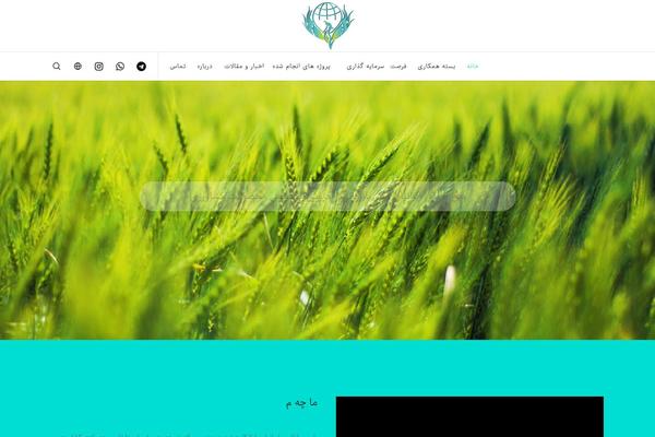 Movedo-child theme site design template sample
