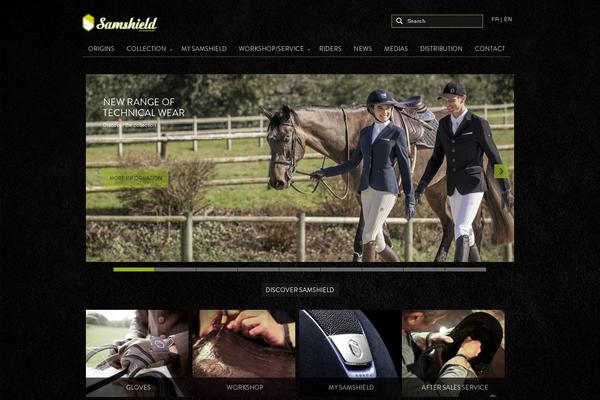 meari theme websites examples