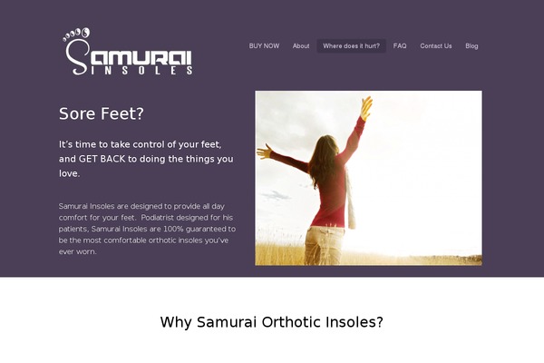 samuraiinsoles.com site used Appply
