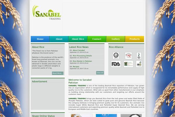 St theme site design template sample
