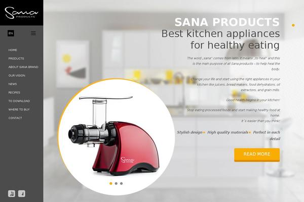 Sana theme site design template sample