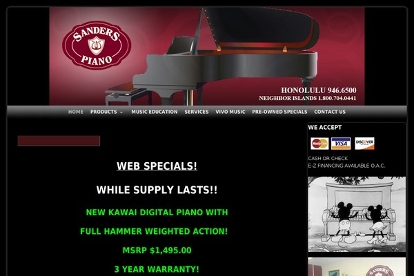 WordPress website example screenshot