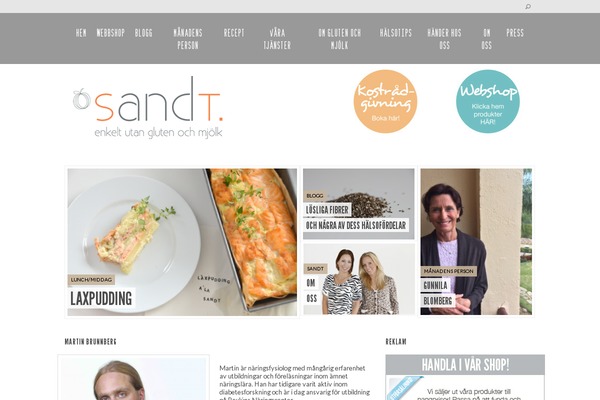 sandt.nu site used Sandt
